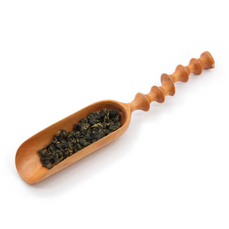 Four Seasons Spring Oolong in a scoop