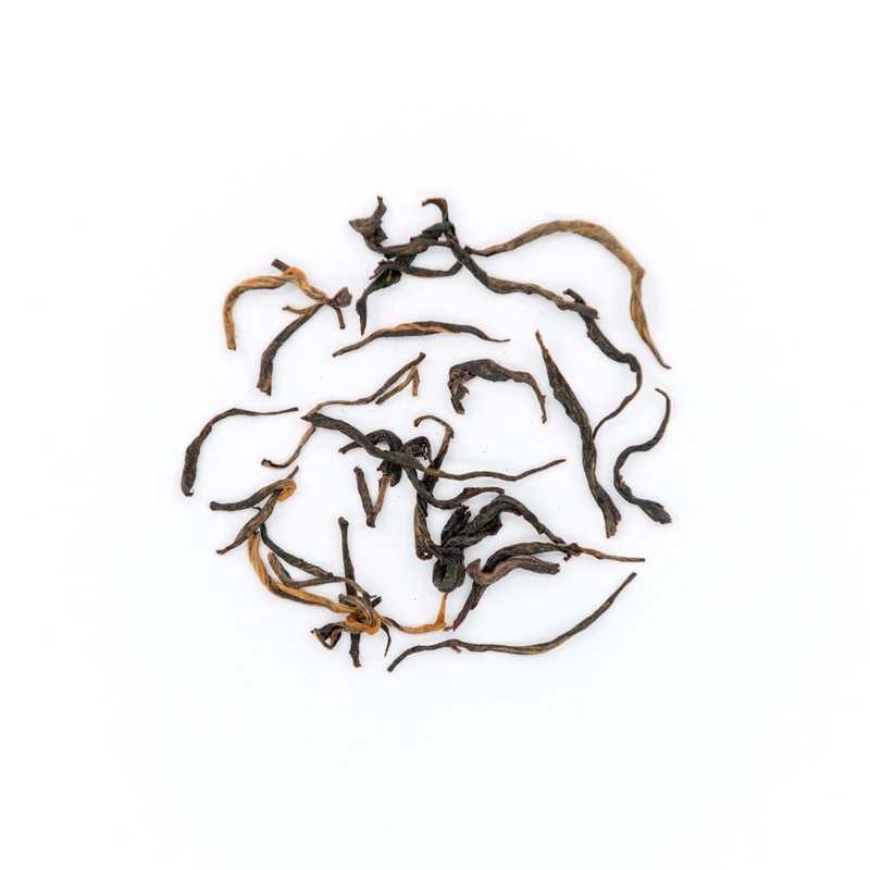 Element Series - Golden Tips leaves