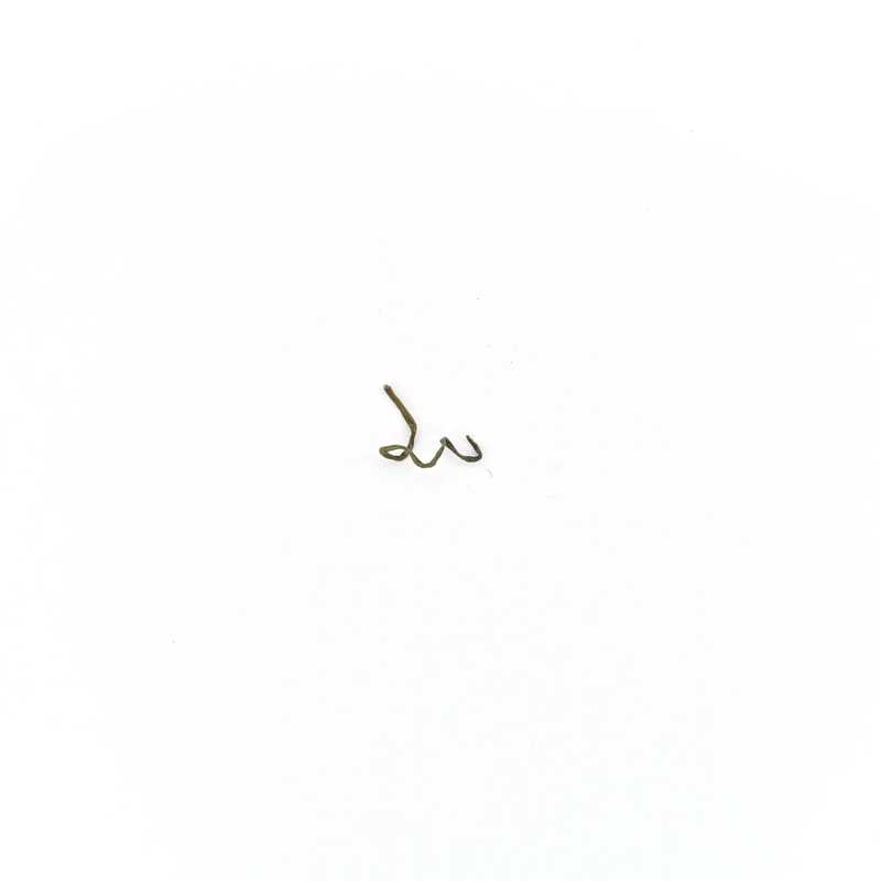 Element Series - Organic Misty Cloud Green Tea leaf