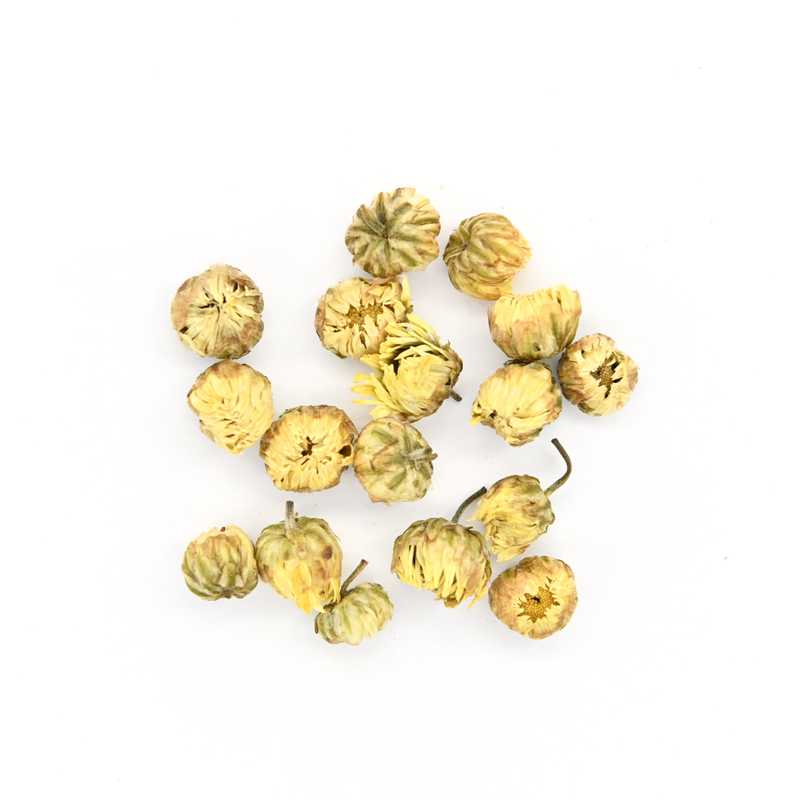 King Chrysanthemum leaves