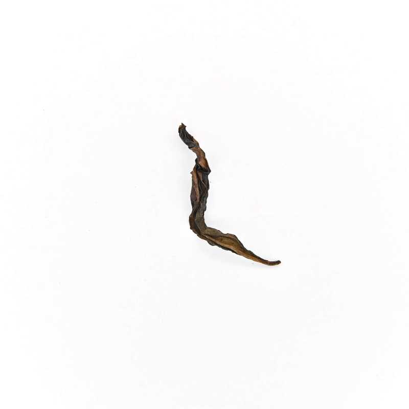 Golden Osmanthus Tieguanyin (Roasted) leaf