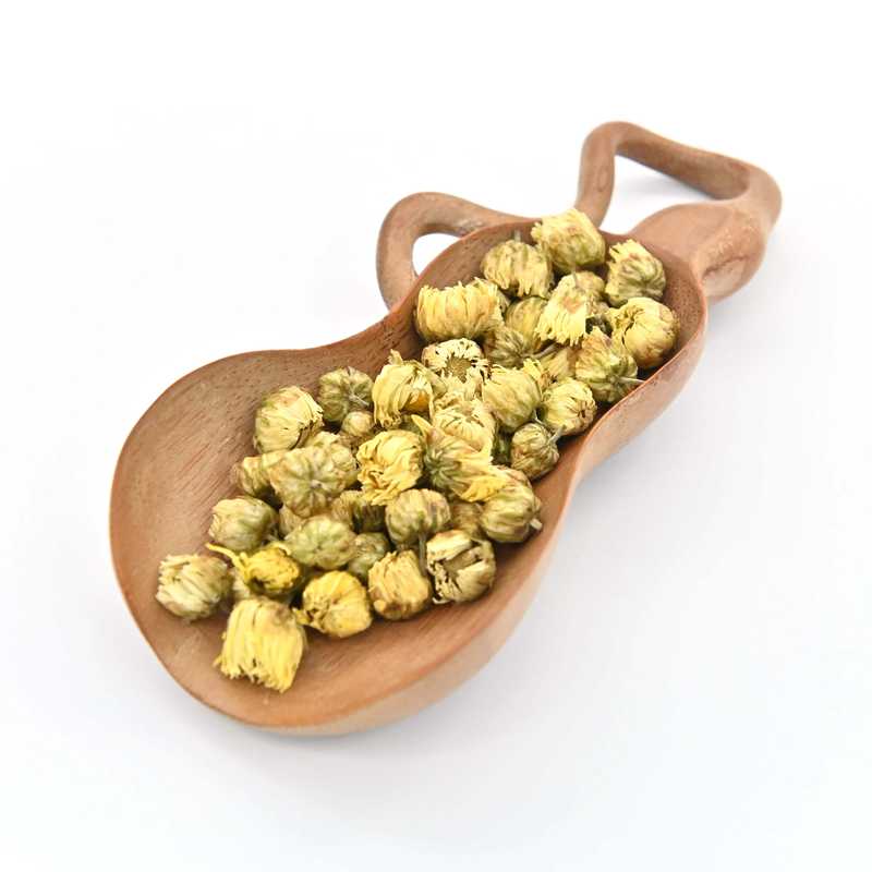 King Chrysanthemum in a scoop