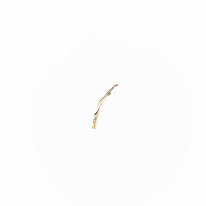 Premium Jasmine Green Tea leaf