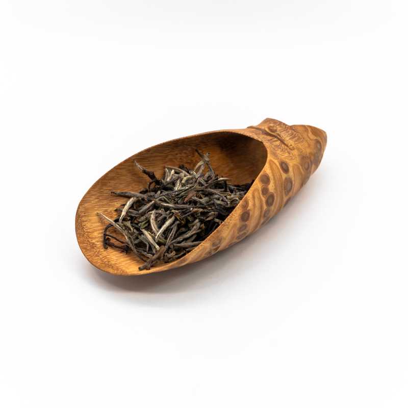 Wild Local Varietal White Tea in a scoop
