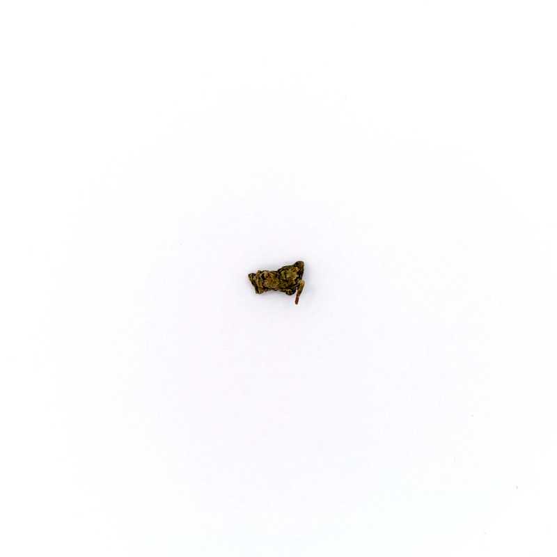 Tieguanyin (Fragrant) leaf